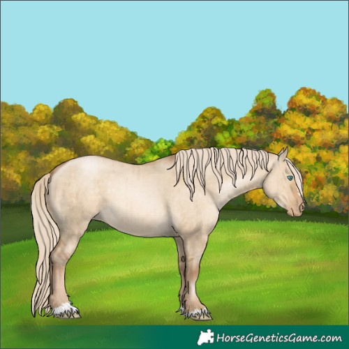 Horse Color:Chocolate Palomino Pearl Dun Brindle 