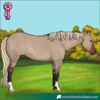 Horse Color:Liver Red Dun 