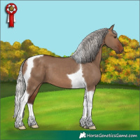 Horse Color:Silver Brown Dun Tobiano