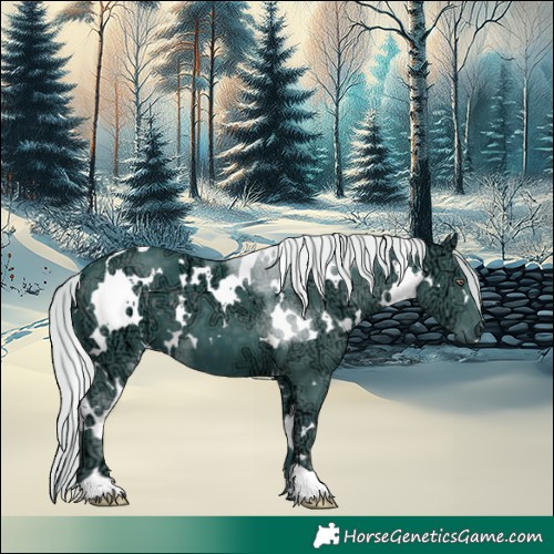 Horse Color:Watercolor White Spotted Silver Black Chinchilla Ice 