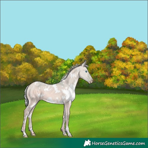 Horse Color:Watercolor White Spotted Silver Perlino Dun 