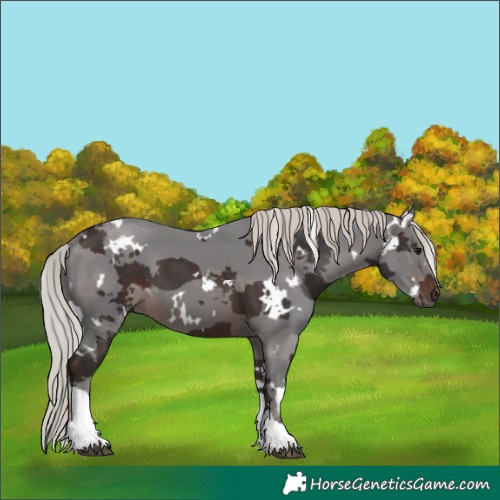 Horse Color:White Spotted Silver Brown Merle Tobiano