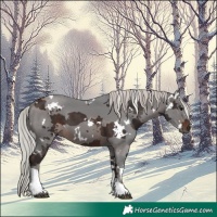 Horse Color:White Spotted Silver Brown Merle Tobiano 