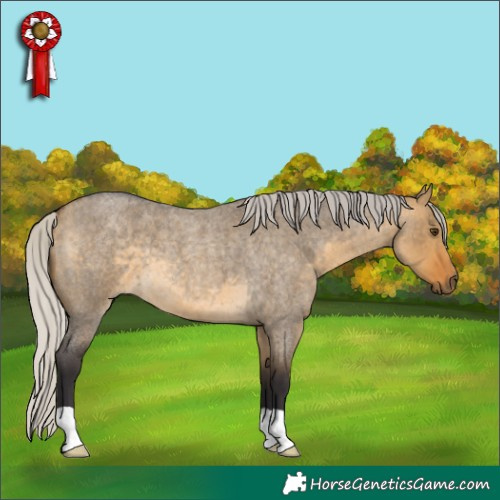 Horse Color:Silver Buckskin Roan Dun 