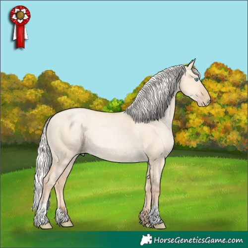 Horse Color:Silver Buckskin Pearl Dun 
