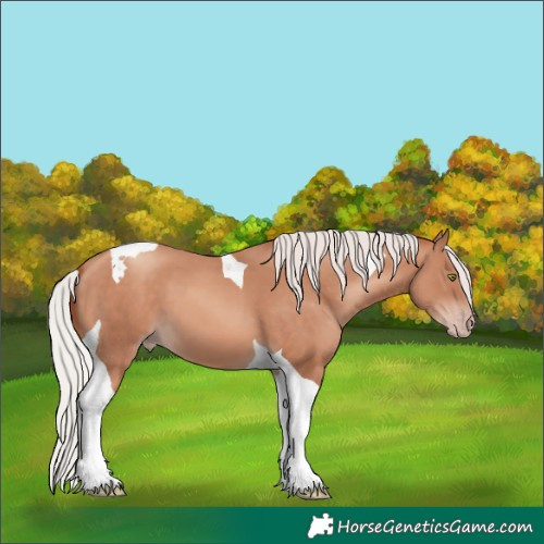 Horse Color:Silver Sable Champagne Tobiano 