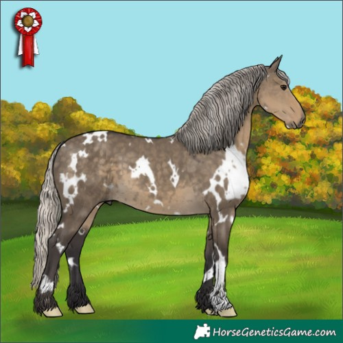 Horse Color:White Spotted Silver Smoky Grullo 