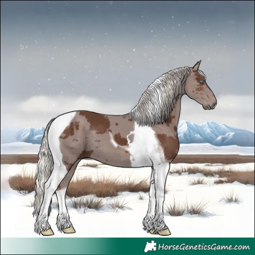 Horse Color:Silver Black Merle Tobiano 