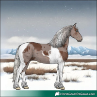 Horse Color:Silver Black Merle Tobiano 