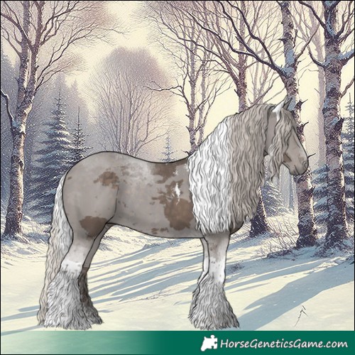 Horse Color:Silver Black Merle Tobiano 