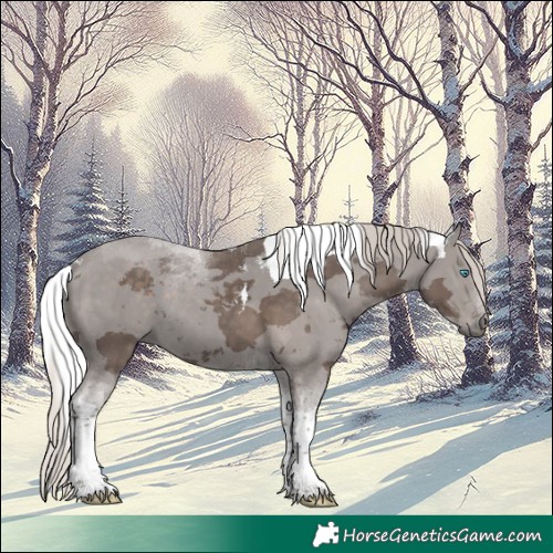 Horse Color:Silver Black Merle Tobiano 