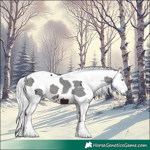 Horse Color:Brown Merle Tobiano 