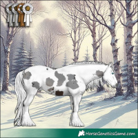 Horse Color:Brown Merle Tobiano