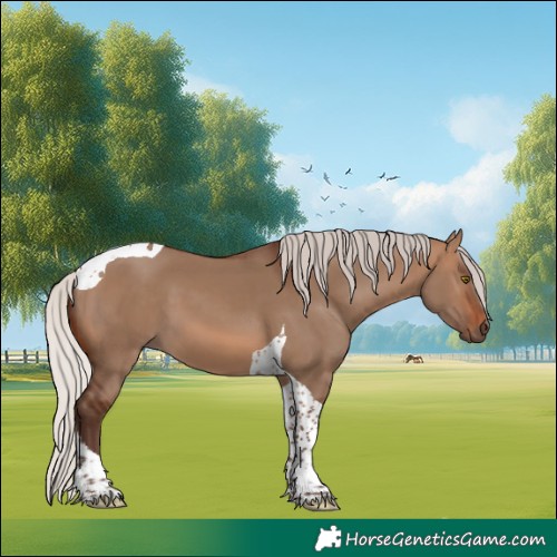 Horse Color:Silver Brown Dun Tobiano 