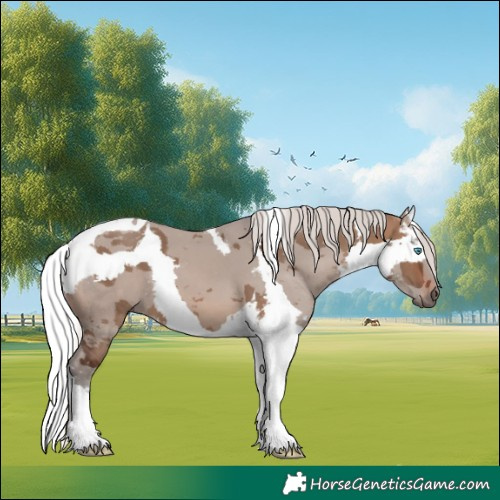 Horse Color:Silver Brown Dun Merle Tobiano 