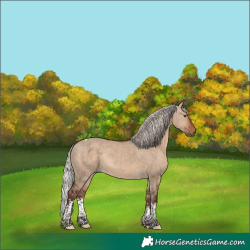 Horse Color:White Spotted Silver Bay Dun Tobiano Rabicano