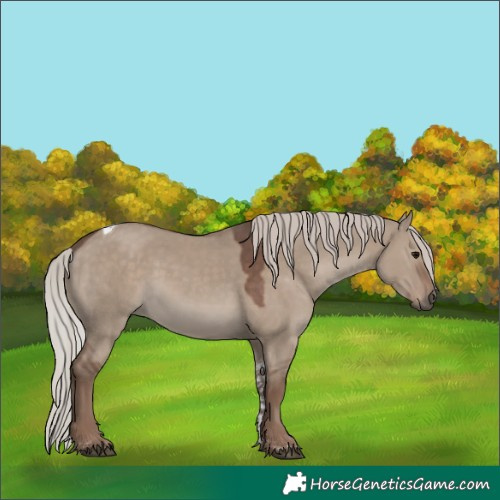 Horse Color:Silver Grullo Tobiano Rabicano 