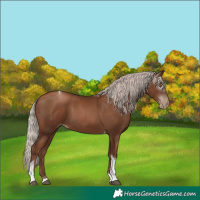 Horse Color:Gray Silver Black Pearl Tobiano 