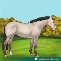Horse Color:Sable Champagne Dun Brindle