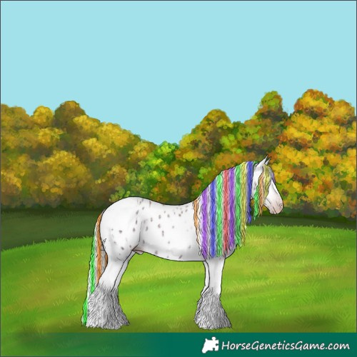 Horse Color:Gray Painted Silver Amber Champagne Ice Splash Tobiano Leopard 