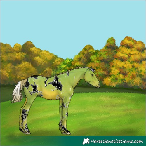 Horse Color:Watercolor White Spotted Chestnut Tobiano 