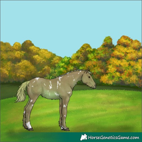 Horse Color:Watercolor White Spotted Chestnut Tobiano 