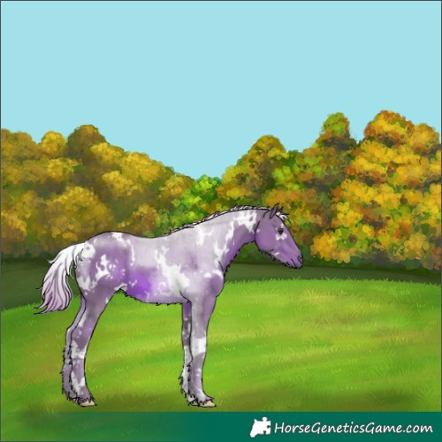 Horse Color:Watercolor White Spotted Chestnut Tobiano 