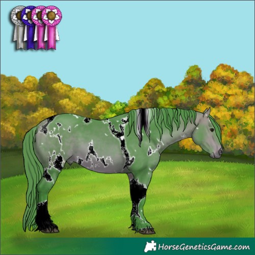 Horse Color:Watercolor White Spotted Bay Tobiano 