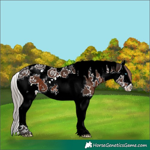 Horse Color:White Spotted Liver Chestnut Splash Tobiano 