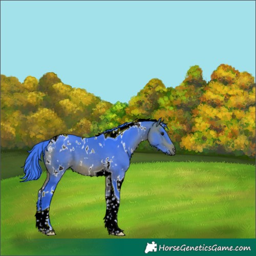 Horse Color:Watercolor White Spotted Bay Tobiano 