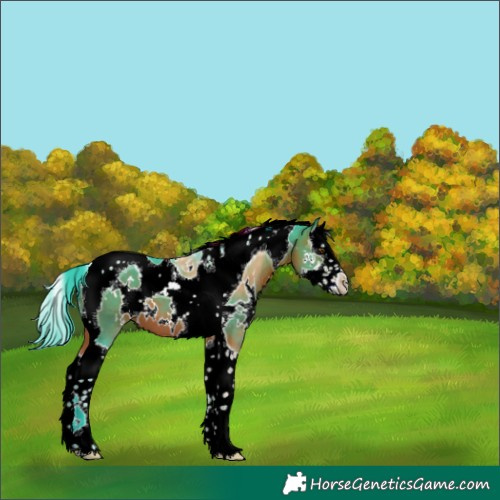 Horse Color:Watercolor White Spotted Bay Splash Tobiano 