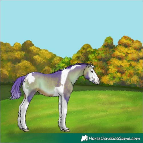 Horse Color:Watercolor Brown Onyx Splash Tobiano 