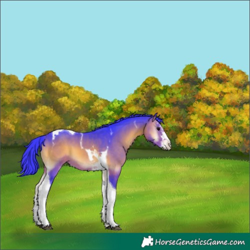 Horse Color:Watercolor Brown Onyx Splash Tobiano 
