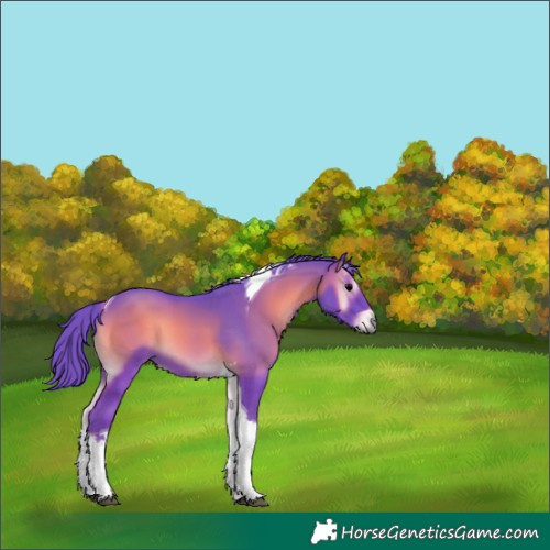 Horse Color:Watercolor Blue Onyx Tobiano 