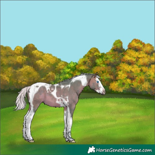 Horse Color:Watercolor Silver Bay Splash Tobiano 