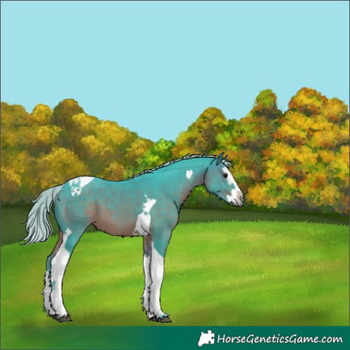 Horse Color:Watercolor Silver Brown Splash Tobiano 
