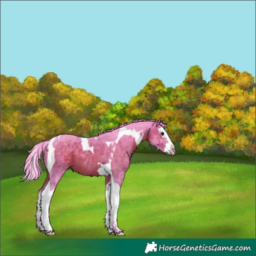 Horse Color:Watercolor Brown Splash Tobiano 