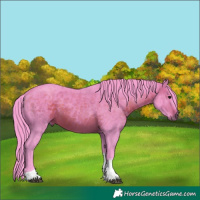 Horse Color:Watercolor Brown Tobiano 
