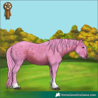 Horse Color:Watercolor Brown Tobiano