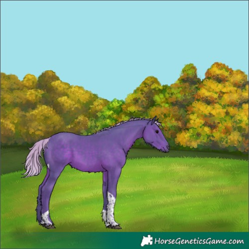 Horse Color:Watercolor Silver Black Tobiano 