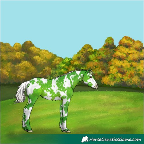 Horse Color:Watercolor Liver Chestnut Splash Tobiano 