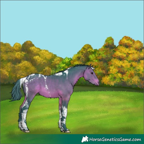 Horse Color:Watercolor Brown Tobiano 