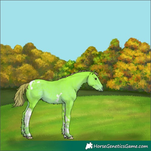 Horse Color:Watercolor Liver Chestnut Tobiano 