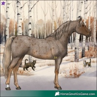 Horse Color:Chocolate Palomino Roan