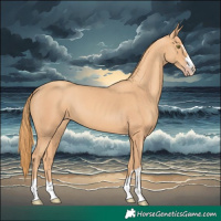 Horse Color:Gold Champagne