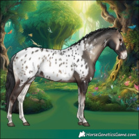 Horse Color:White Spotted Blue Onyx Near Leopard Rabicano 
