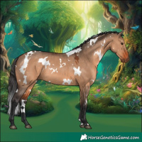Horse Color:White Spotted Brown Dun Rabicano