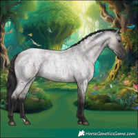 Horse Color:Smoky Grullo Roan Rabicano