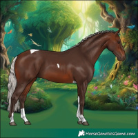 Horse Color:Silver Brown Tobiano