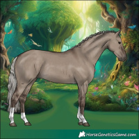 Horse Color:Silver Grullo Tobiano Rabicano